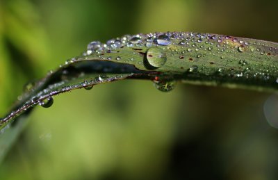 Валежи от дъжд и през почивните дни