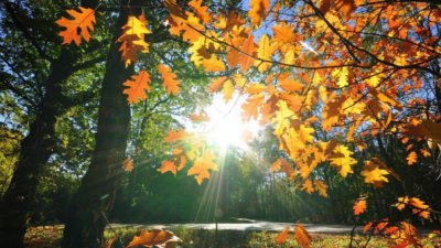 Очаква ни слънчева сряда