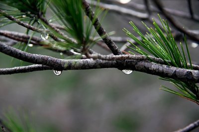 Валежи от дъжд в събота