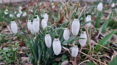 Топло за сезона и в петък