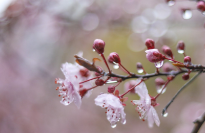 Код жълто за значителни валежи в западната половина от страната