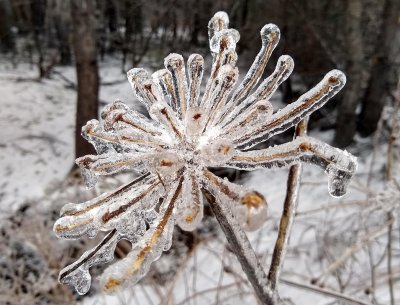 Дъжд, сняг, силен вятър и навявания днес и утре