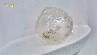 &bdquo;Снежна топка&ldquo; в галерия &bdquo;Сариева&ldquo;