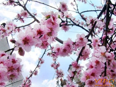 Утре по-топло от обичайното