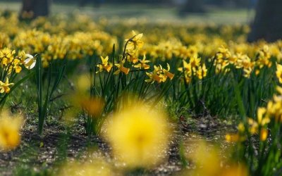 Променлива облачност на места с валежи от дъжд утре