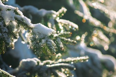Слънчево време с максимални температути между 7&deg; и 12&deg; в четвъртък