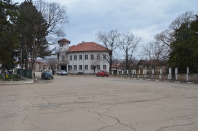 Кой прибра и къде закара захвърлен питбул в село Церовене?