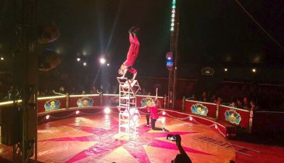 Красив, сладък сън