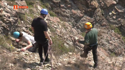 С помощта на "България в 60 мунити": Спасителната акция на овцете край с. Широко поле