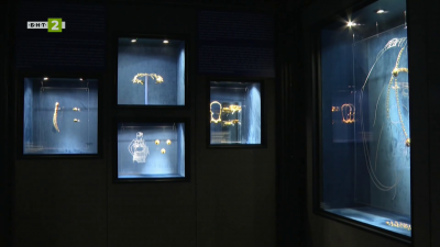 Златната клетка на воина