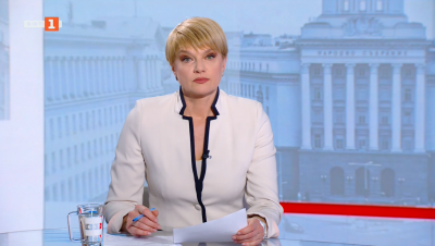 Предсрочните избори за 52-ия парламент: Идеи и програми за управлението на България