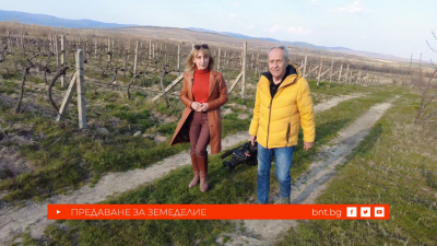 Истории за ферма за магарета, оранжерия и смесено стопанство - 21.03.2026