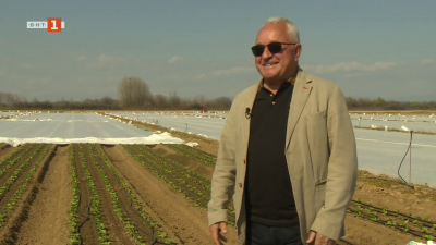 Как България се превърна в продоволствено зависима държава