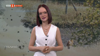 Как е изглеждал животът в средновековието и какво е представлявал кралският пир?