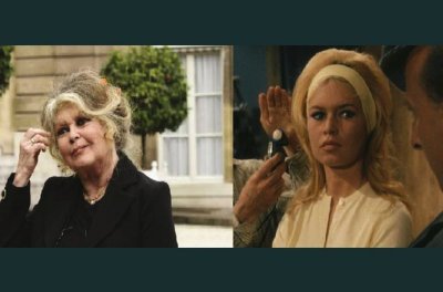 Бардо, неразбраната