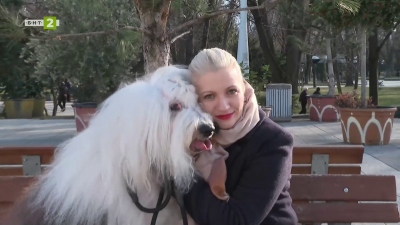 Канистерапия с кауза: кучетата, които помагат за нова детска болница в Пловдив