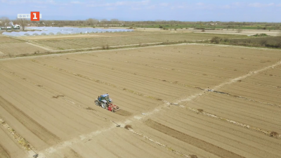 Как България се превърна в продоволствено зависима държава