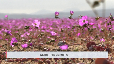 В Деня на земята децата ни учат на по-отговорно отношение към природата