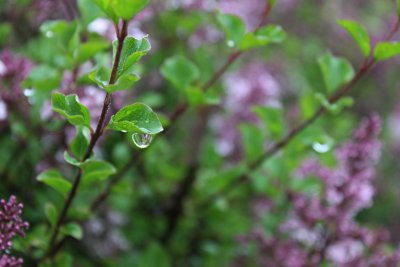 По-студено време ни очаква утре, валежите продължават