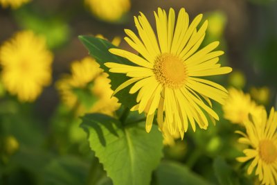Слънчево с максимални температури между 20&deg; и 25&deg; през почивните дни