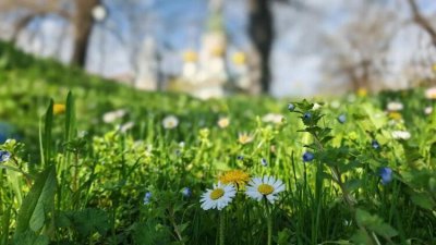 Предимно слънчево във вторник