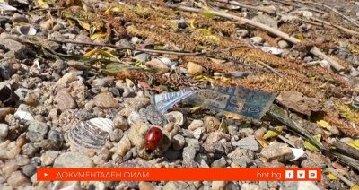 Невидимото нашествие