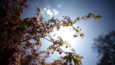 Слънчево в четвъртък, но следобед не излизайте без чадър