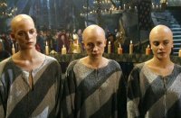 снимка 9 Прокълнатите крале