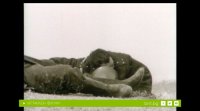 снимка 9 Тримата от запаса