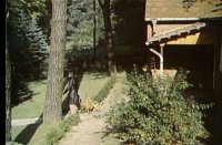 снимка 13 Тайфуни с нежни имена