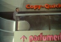 снимка 11 Тайфуни с нежни имена