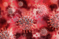 Coronavirus in Bulgaria: 210 new cases, 174 recoveries, 12 deaths