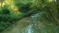 Pollution in the Maritsa: Nitrogen compounds found in its waters