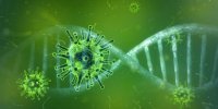 A team of scientists led by a Bulgarian discover antibody that 'neutralises' coronavirus