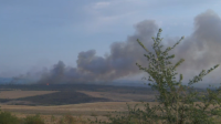 Fire-fighters battle big wildfire raging in Southern Bulgaria