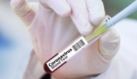 Coronavirus in Bulgaria: 216 new cases, 11 deaths