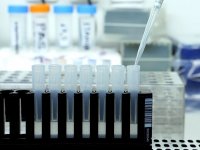 Coronavirus in Bulgaria: 1,803 new cases from 7,259 PCR tests