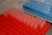 Coronavirus in Bulgaria: 1,225 new cases from 5,457 PCR tests