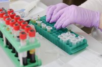 Coronavirus in Bulgaria: 1,925 new cases, a rise in hospitalisations