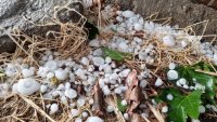 Storm hurled hails the size of walnuts in the Bulgarian town of Assenvgrad