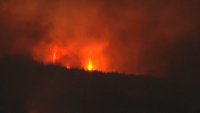 Forest fire raging in the area of Svilengrad