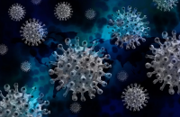 Fourth Covid-19 wave in Bulgaria: 26 people out of 100,000 lose the battle against the virus