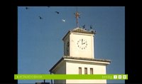 снимка 6 От нищо нещо
