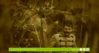 снимка 3 Още ли бродиш, Делчев войвода