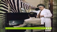 снимка 3 Опасен чар