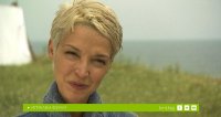 снимка 2 Корави старчета