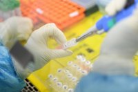 Coronavirus in Bulgaria: 2,379 new cases, test positivity rate is at 15,8%