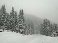 More than 20 cm of new snow cover in South Bulgarian region of Smolyan