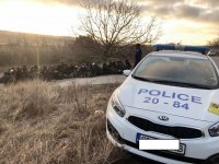 Large group of migrants detained near Nova Zagora