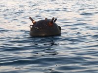 Minister of Defence told BNT: A floating sea mine has been discovered and defused near Kamchia(PHOTOS)